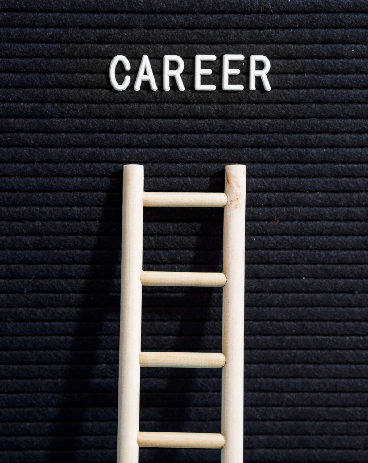Career